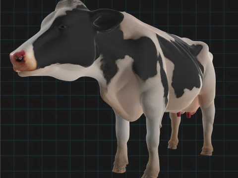Realistic Dairy Cow Holstein Cow Model 3D Model