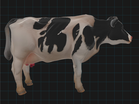 Realistic Dairy Cow Holstein Cow Model Modello 3D