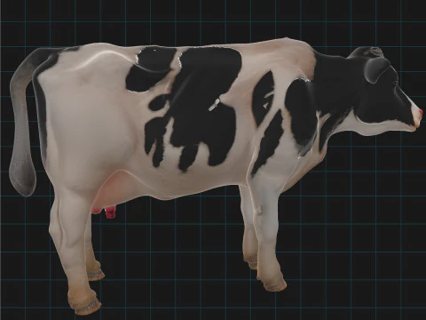 Realistic Dairy Cow Holstein Cow Model 3D Model