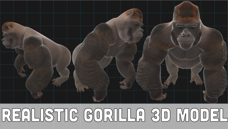 Realistic Gorilla 3D Model .c4d .max .obj .3ds .fbx .stl .blend 