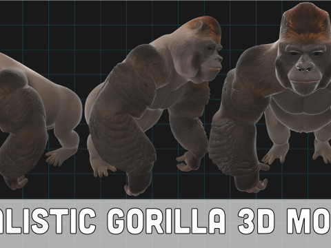 Realistic Gorilla 3D Model