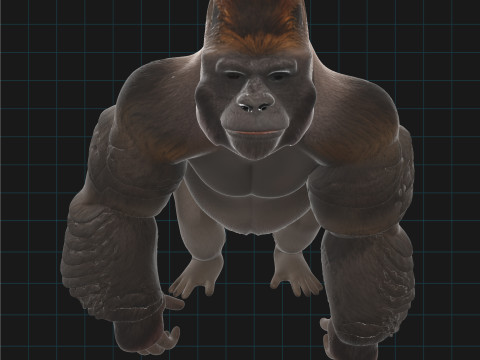 Realistic Gorilla 3D Model