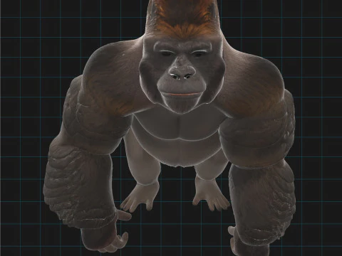 Gorilla realistico Modello 3D