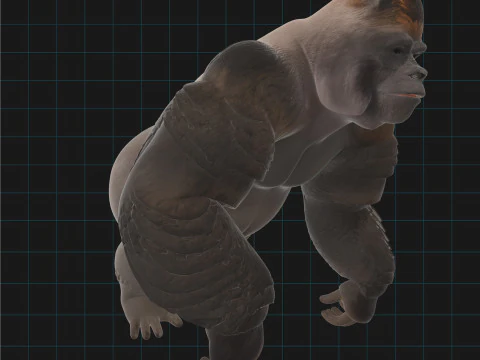 Gorilla realistico Modello 3D