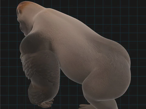 Gorilla realistico Modello 3D