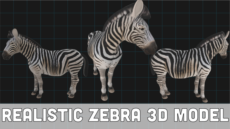 Realistic Zebra African Wildlife Animal 3D Model .c4d .max .obj .3ds .fbx .stl .blend 