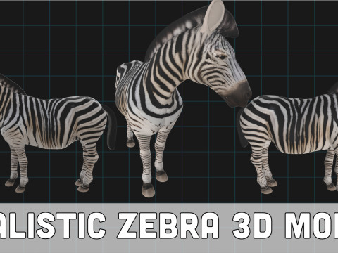 Realistic Zebra African Wildlife Animal 3D Model