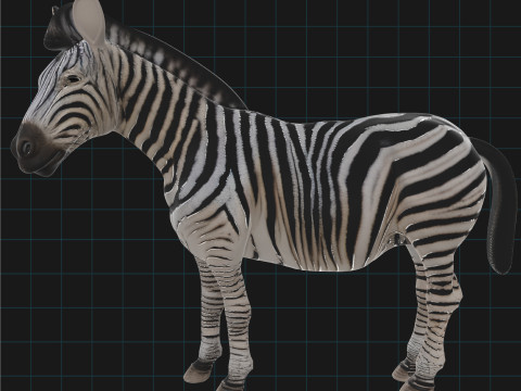 Realistic Zebra African Wildlife Animal 3D Model
