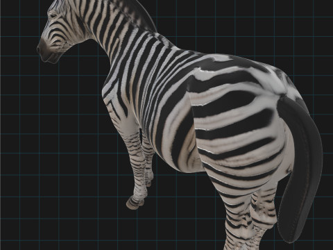 Realistic Zebra African Wildlife Animal 3D Model