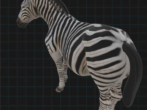 Realistic Zebra African Wildlife Animal 3D Model