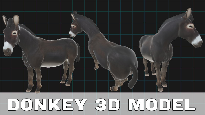 Realistic Donkey Stylized Animal Model 3D .c4d .max .obj .3ds .fbx .stl .blend 