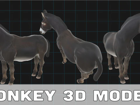 Realistic Donkey Stylized Animal 3D Model