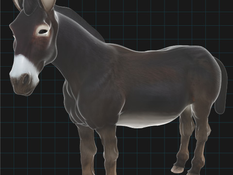 Realistic Donkey Stylized Animal Model 3D