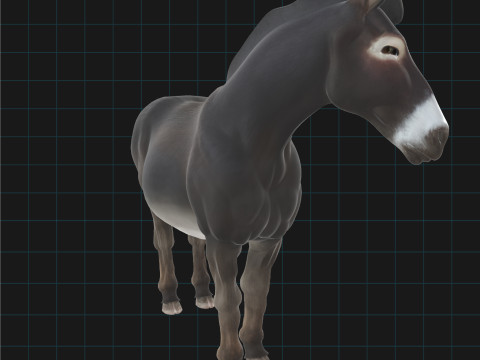 Realistic Donkey Stylized Animal Model 3D