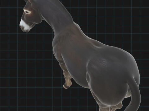 Realistic Donkey Stylized Animal 3D Model