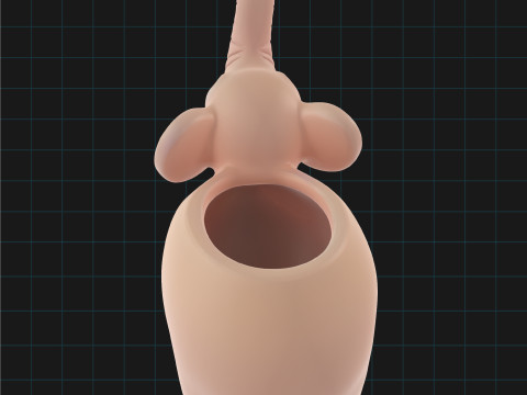 大象花盆可爱装饰动物盆 3D 模型