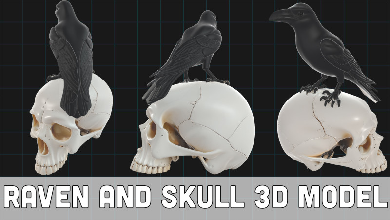 Raven and Skull Pack Realistic Gothic Bird on Human Skull Model 3D .c4d .max .obj .3ds .fbx .stl .blend 