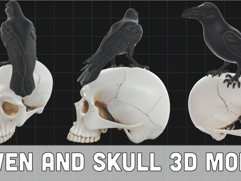 Raven and Skull Pack Realistic Gothic Bird on Human Skull Modelo 3D