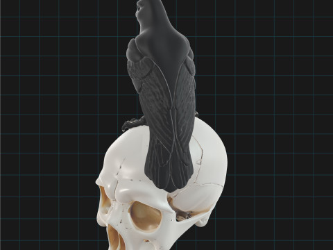 Raven and Skull Pack Realistic Gothic Bird on Human Skull Model 3D