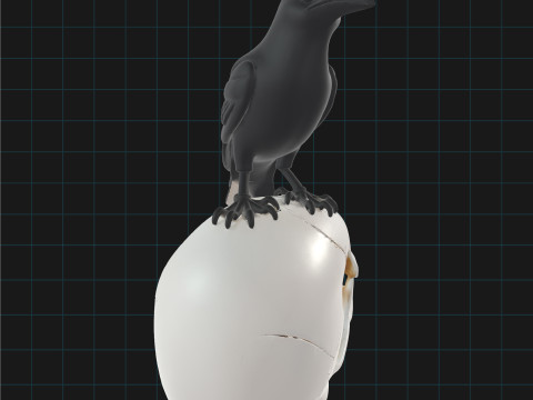 Raven and Skull Pack Realistic Gothic Bird on Human Skull Model 3D