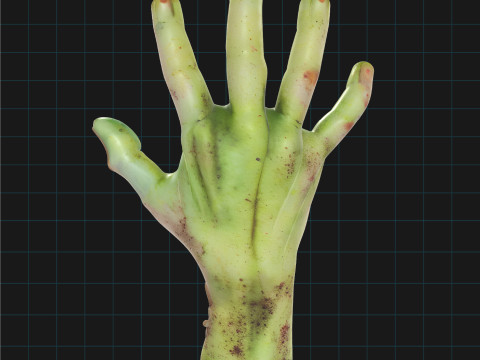 Zombie Hand Realistic Severed Monster Hand for Halloween Modello 3D