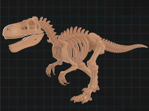 R&eacute;plica f&oacute;ssil pr&eacute;-hist&oacute;rica do esqueleto do dinossauro T-Rex Modelo 3D