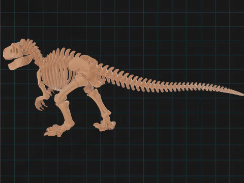 T-Rex Dinosaur Skeleton Prehistoric Fossil Replica 3D Model
