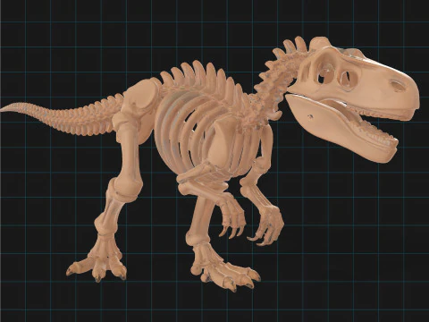 T-Rex Dinosaur Skeleton Prehistoric Fossil Replica 3D Model