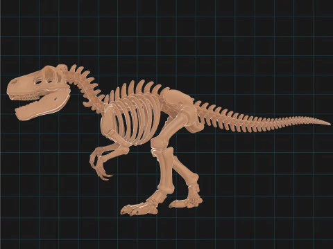 T-Rex Dinosaur Skeleton Prehistoric Fossil Replica 3D Model