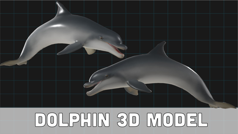 Dolphin Stylized Aquatic Animal 3D Modell .c4d .max .obj .3ds .fbx .stl .blend 