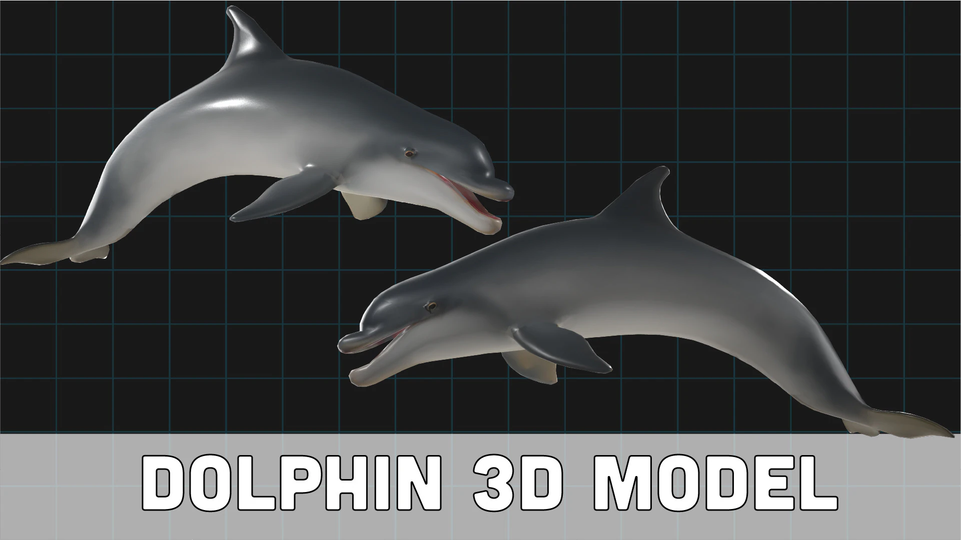 Dolphin Stylized Aquatic Animal 3D Model .c4d .max .obj .3ds .fbx .stl .blend