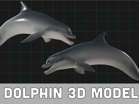 Dolphin Stylized Aquatic Animal Model 3D