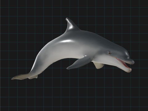 Dolphin Stylized Aquatic Animal 3D Modell