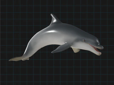 Dolphin Stylized Aquatic Animal 3D Model