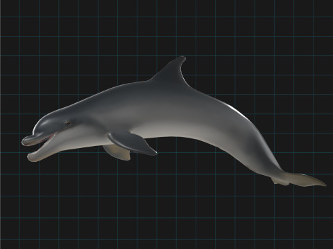 Dolphin Stylized Aquatic Animal 3D Modell