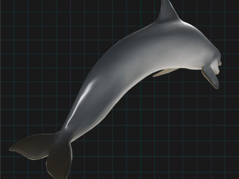 Dolphin Stylized Aquatic Animal 3D Modell