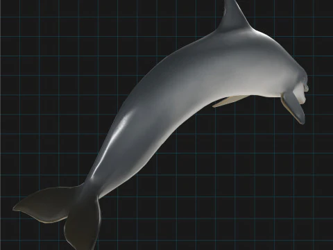 Dolphin Stylized Aquatic Animal 3D Model