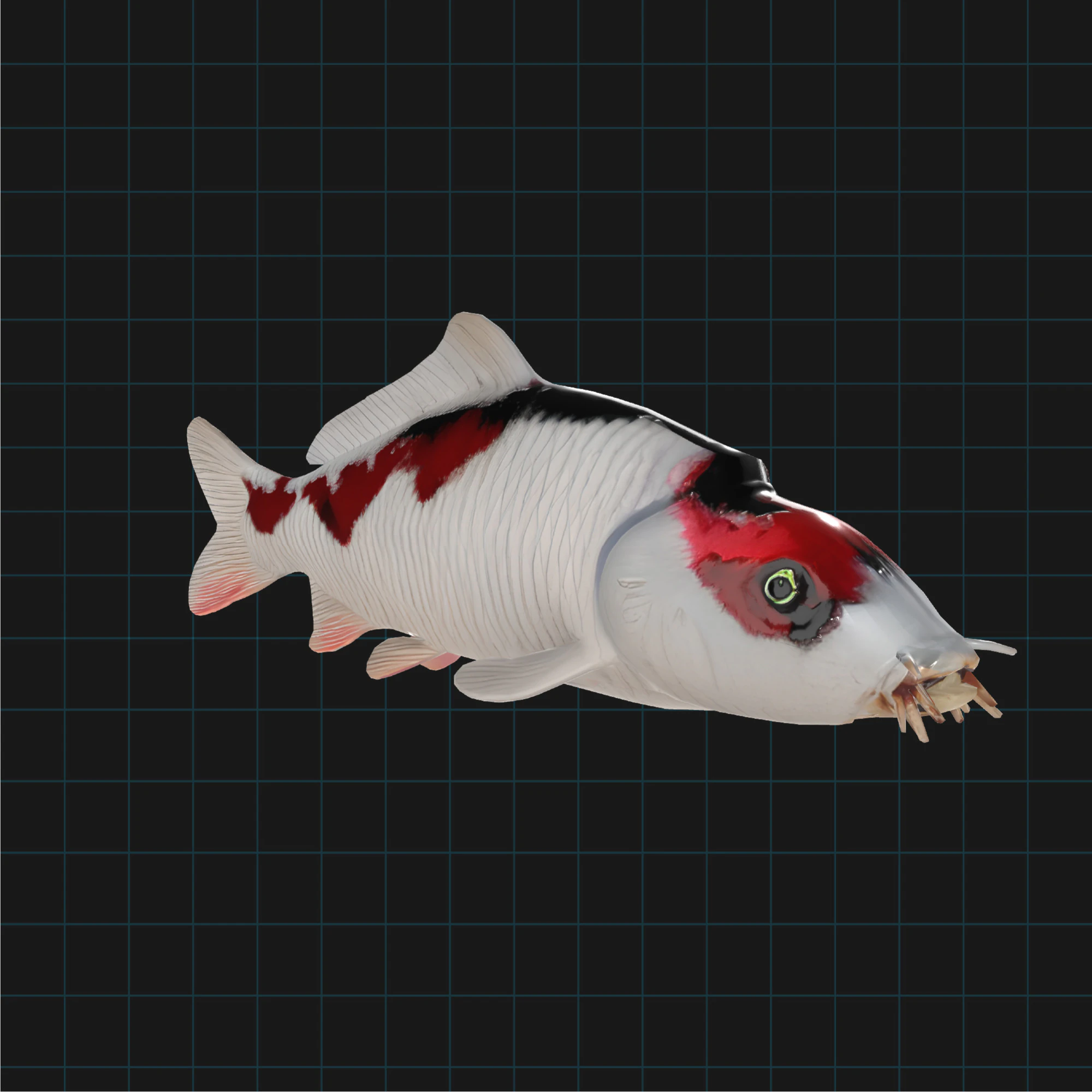 Realistic Koi Fish 3D Model .c4d .max .obj .3ds .fbx .stl .blend