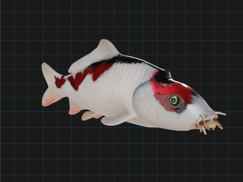 Realistic Koi Fish 3D मॉडल