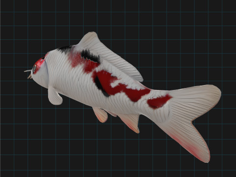 Realistic Koi Fish 3D 모델