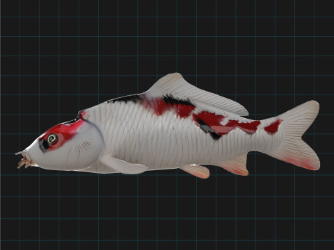Realistic Koi Fish 3D 모델
