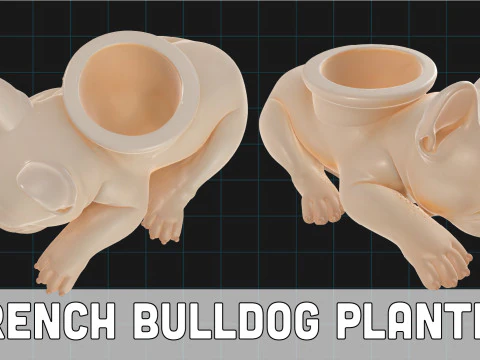 Franse Bulldog plantenbak slapende hond sappige pot 3D Model