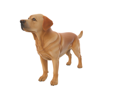 Realistic Labrador Retriever Dog 3Dモデル