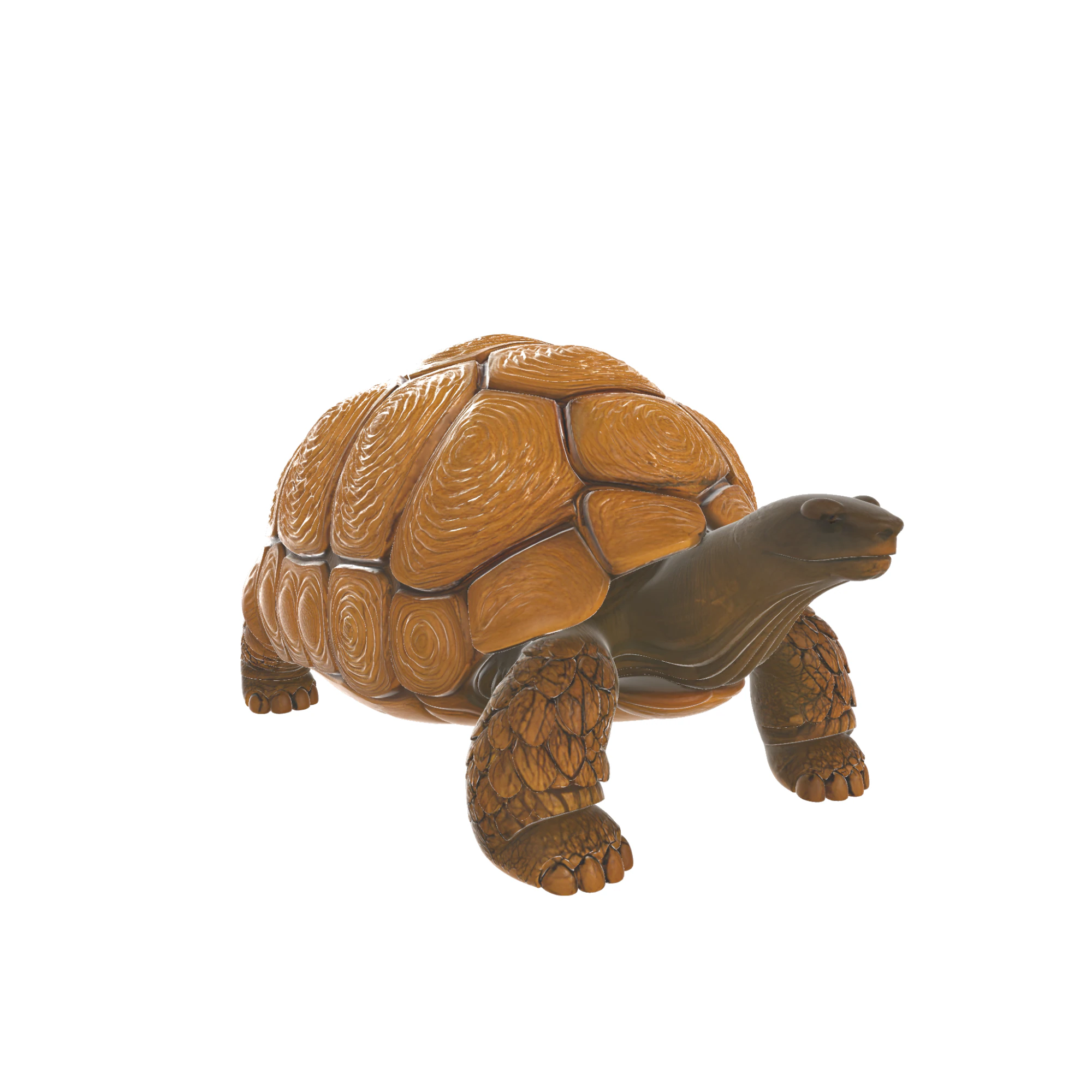 Realistic Tortoise Figurine 3D Model .c4d .max .obj .3ds .fbx .stl .blend 