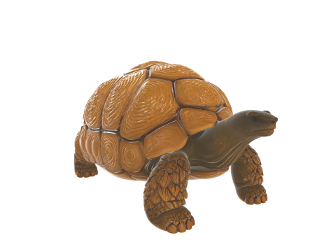 Realistic Tortoise Figurine 3D 모델
