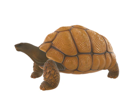 Realistic Tortoise Figurine 3D Model