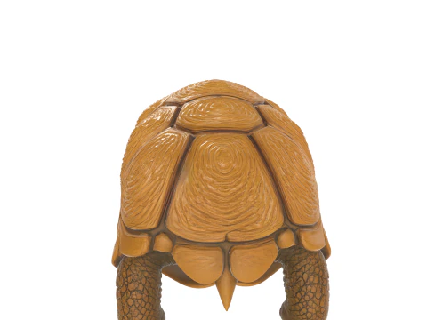 Realistic Tortoise Figurine 3D Model