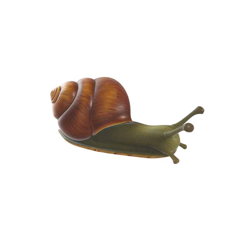 Realistic Stylized Snail 3D 모델 .c4d .max .obj .3ds .fbx .stl .blend