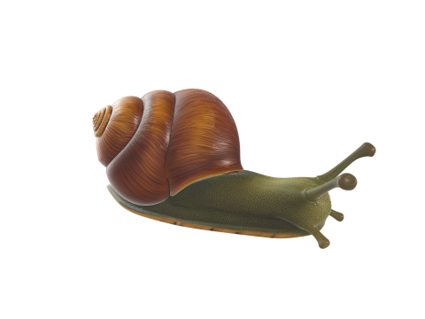 Realistic Stylized Snail 3D 모델