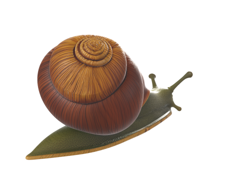 Realistic Stylized Snail 3D 모델